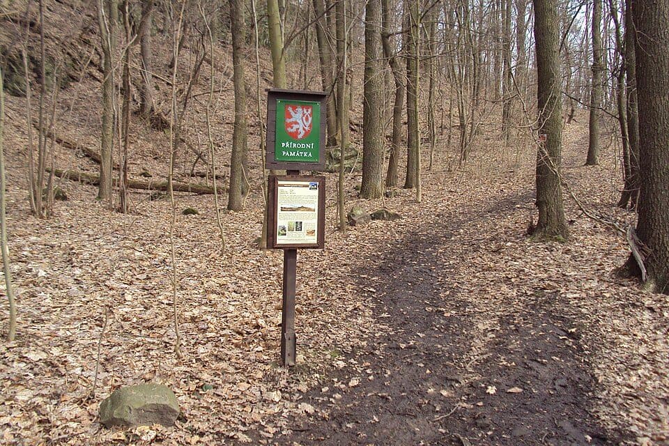 [Z] Čap - Kravaře