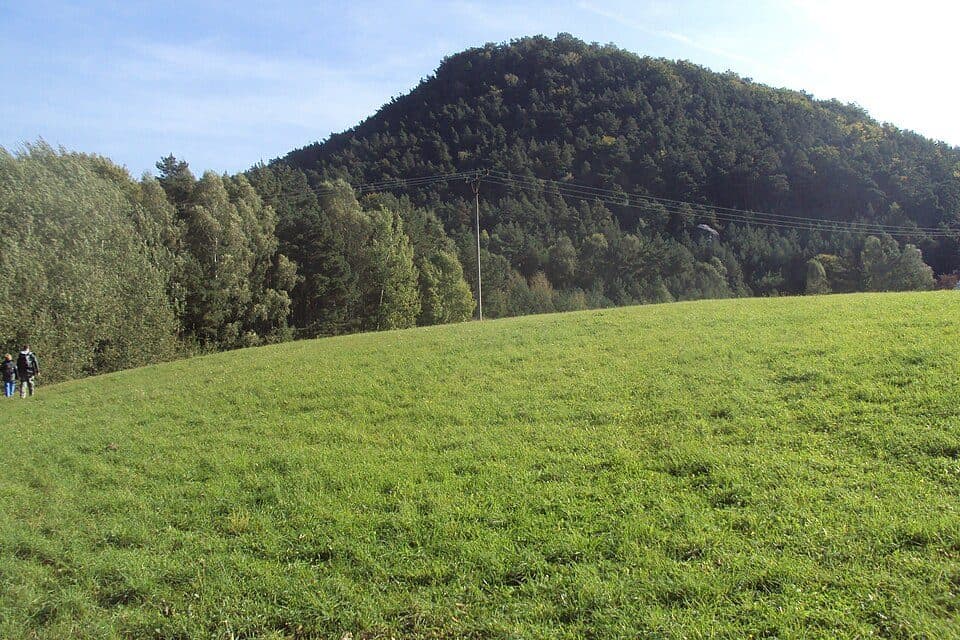 [M] Plešivec - Vysoký vrch (odbočka)