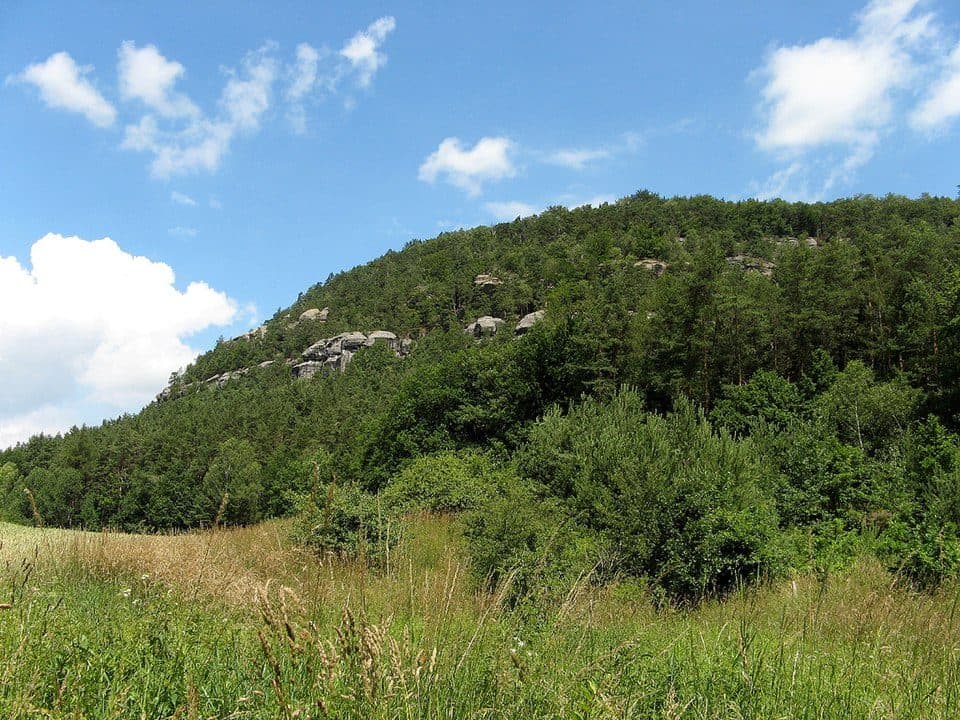 [Z] Čap - Kravaře