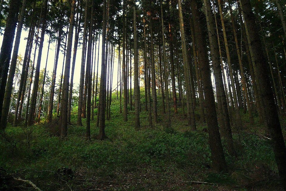 Suchý vrch