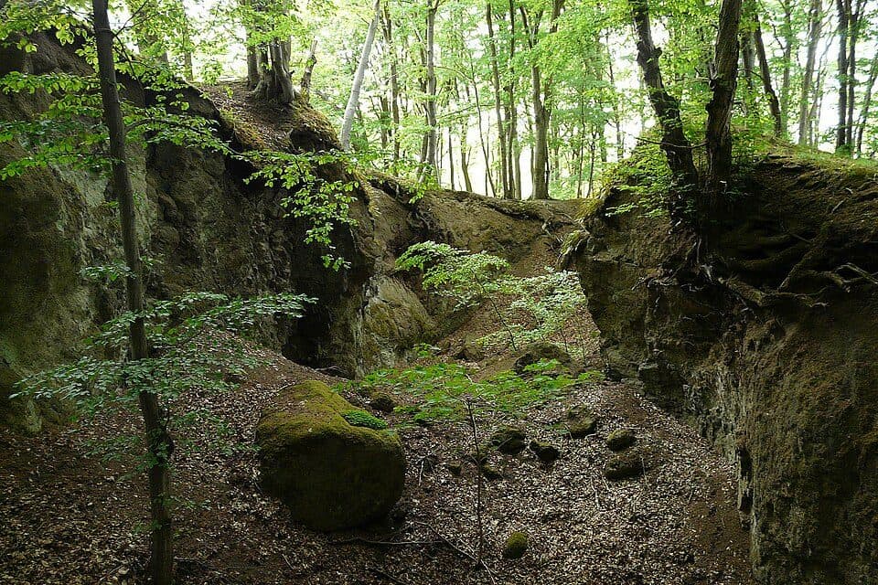 [Ž] Víšek - Kuřívody