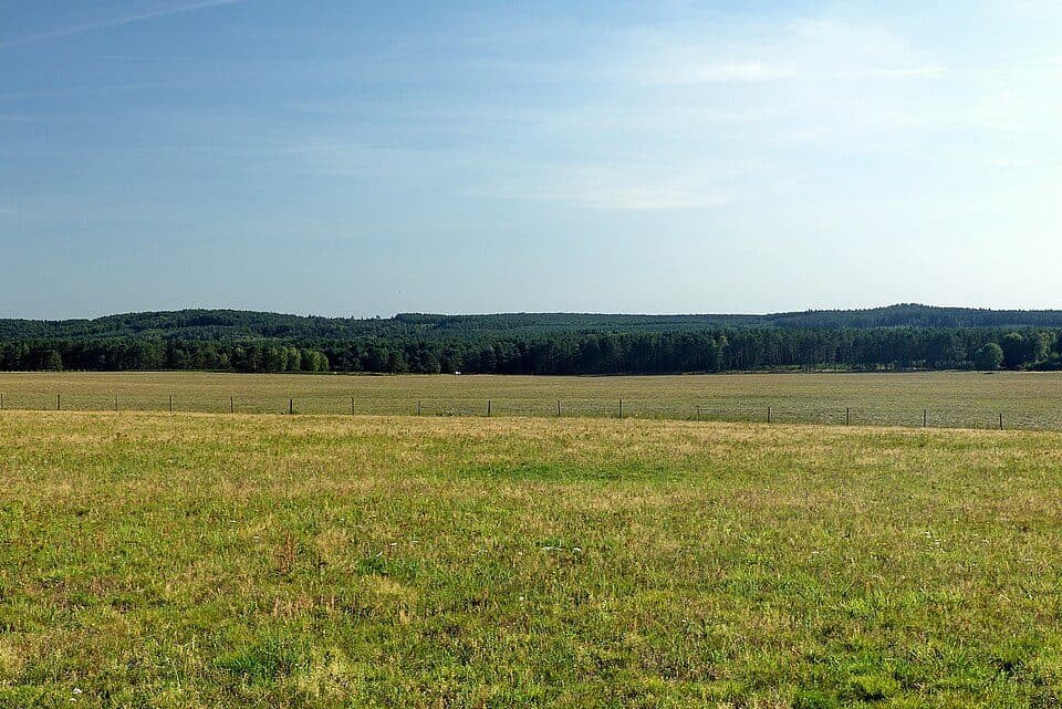 Prosíčská horka — photo 2