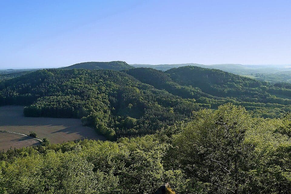 [M] Plešivec - Vysoký vrch (odbočka)