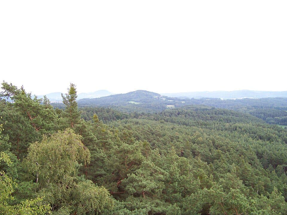 Dubová hora