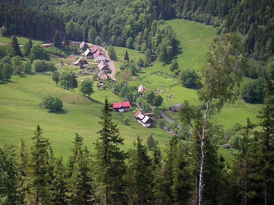Bielice