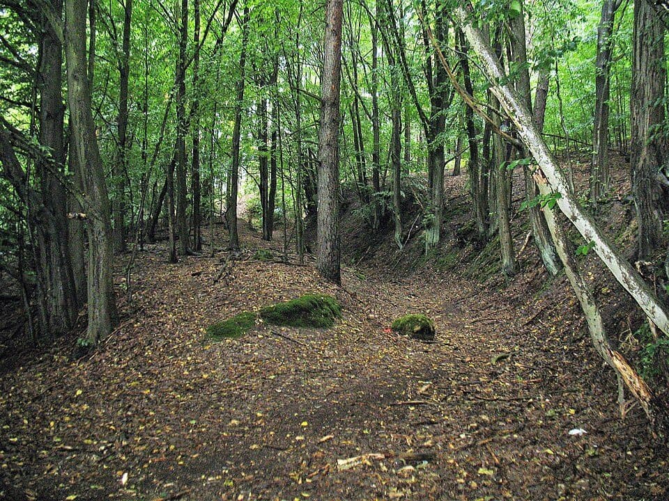 [Ž] Mšeno - Střezivojice