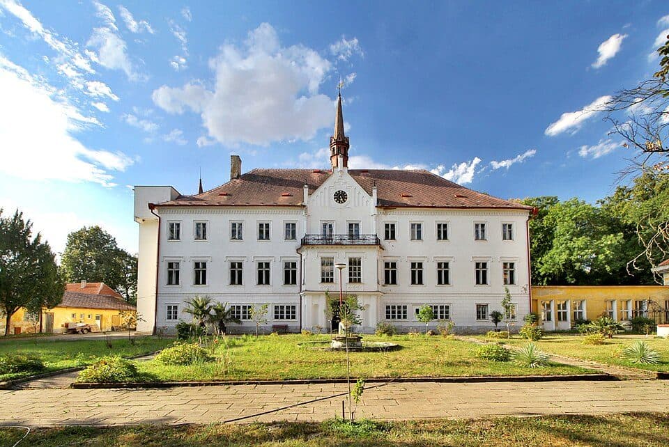 Řepín — zdjęcie 3