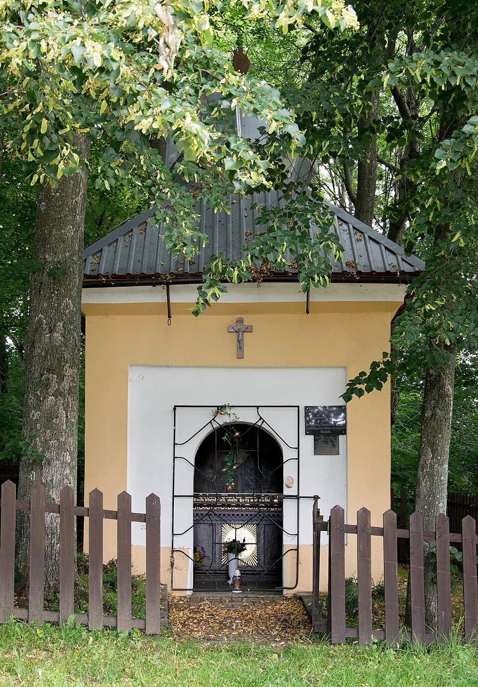 Rogówek