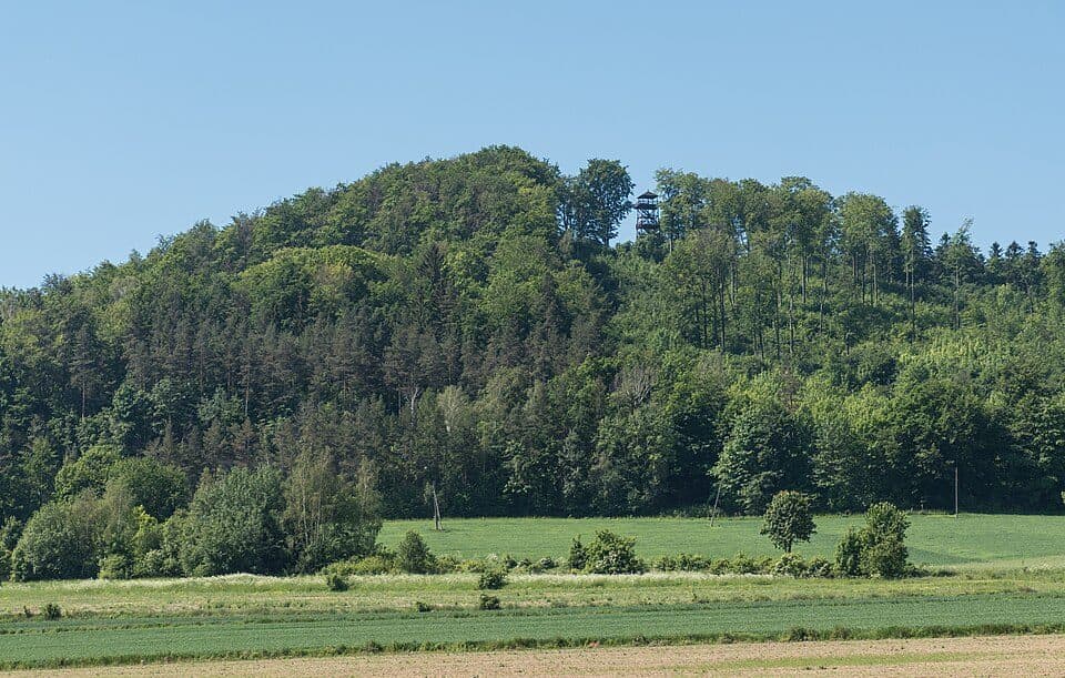 Wapniarka — fotografia 3