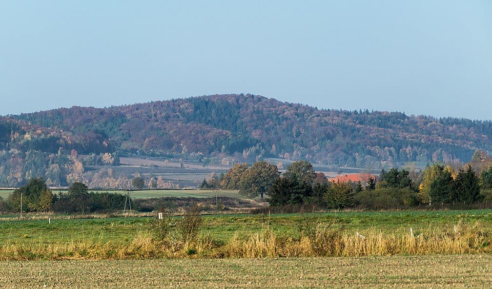 Dębowa (góra)