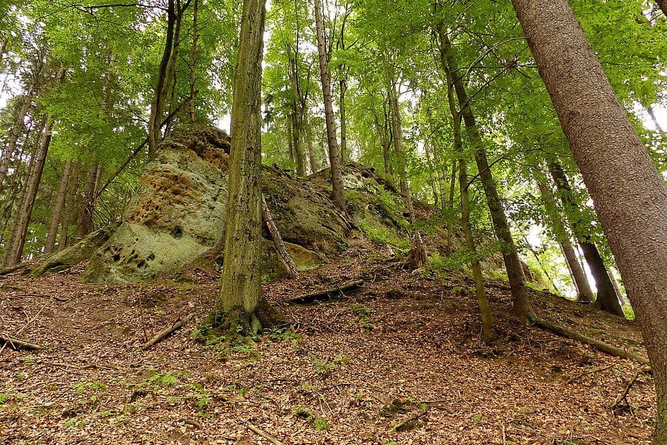 Zbyny