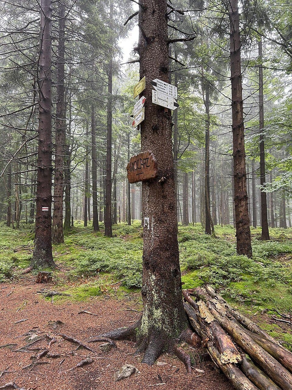 Wolarz (góra)