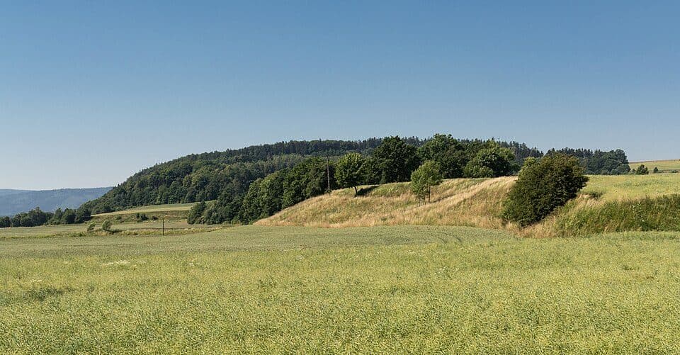 Czerwoniak