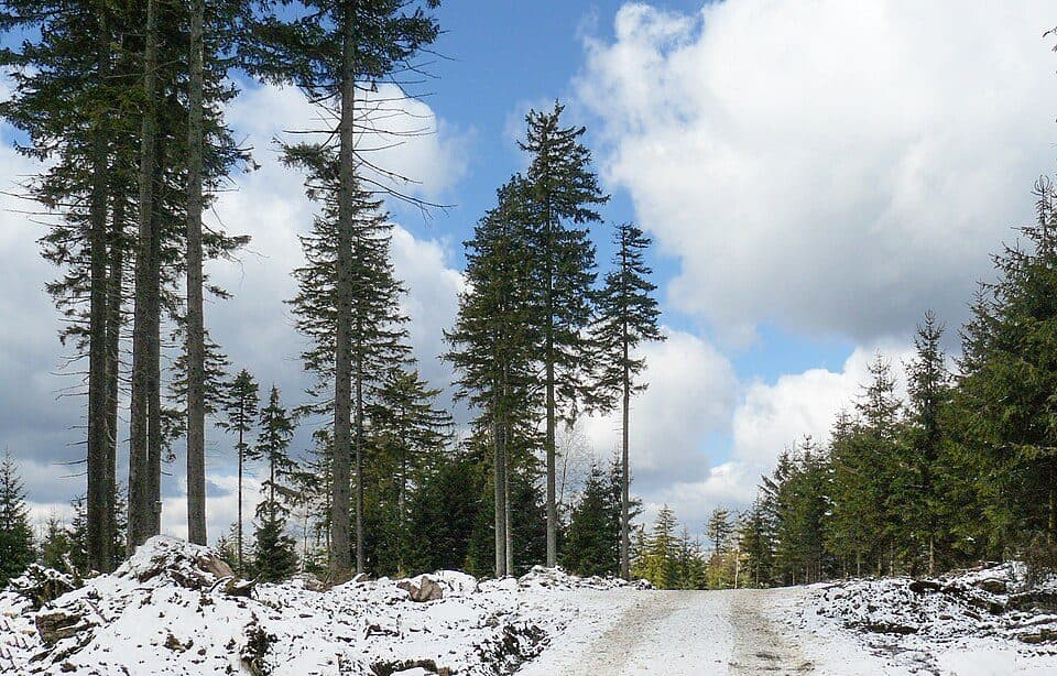 Sasin (szczyt)