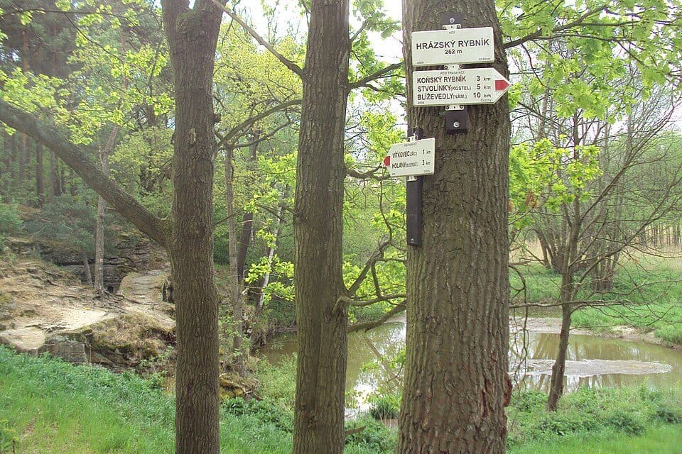 [Č] zřícenina Vítkovec