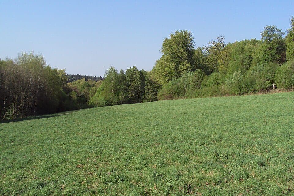 Osinalické bučiny — Foto 2