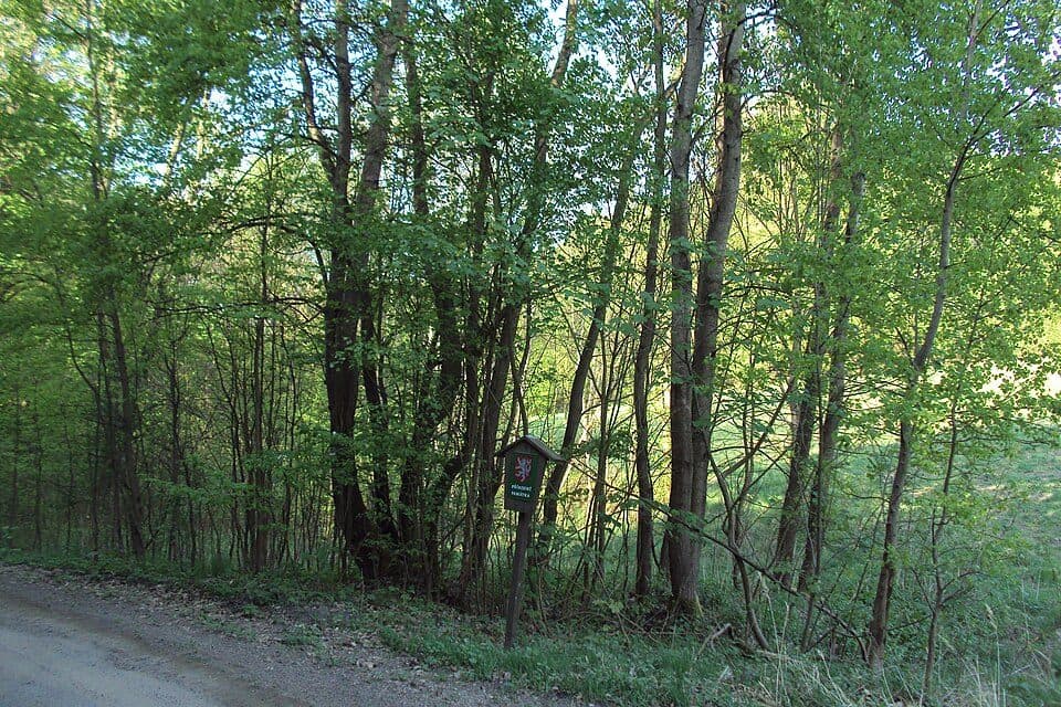 Osinalické bučiny