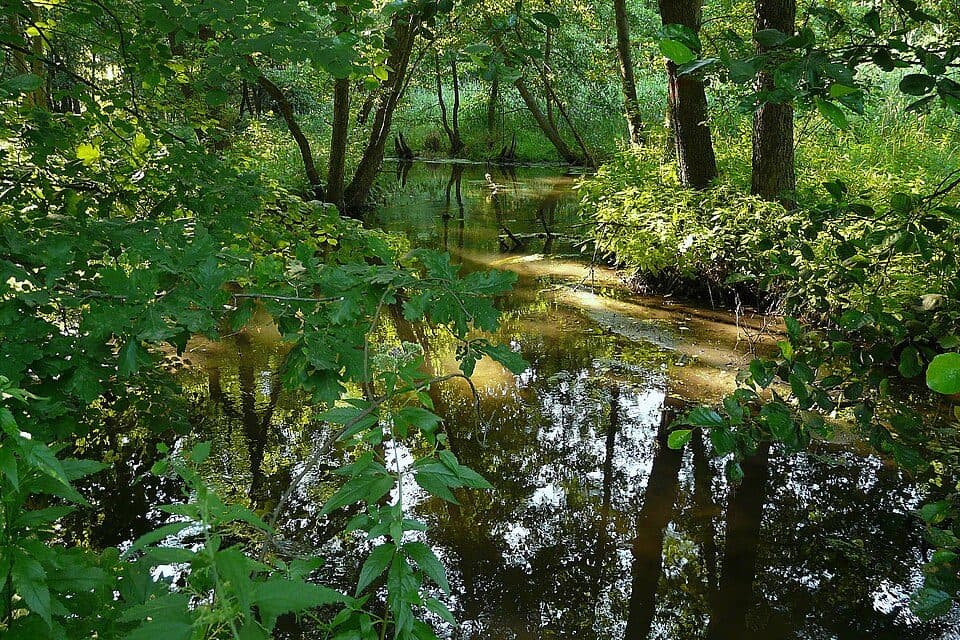 NPP Klokočka