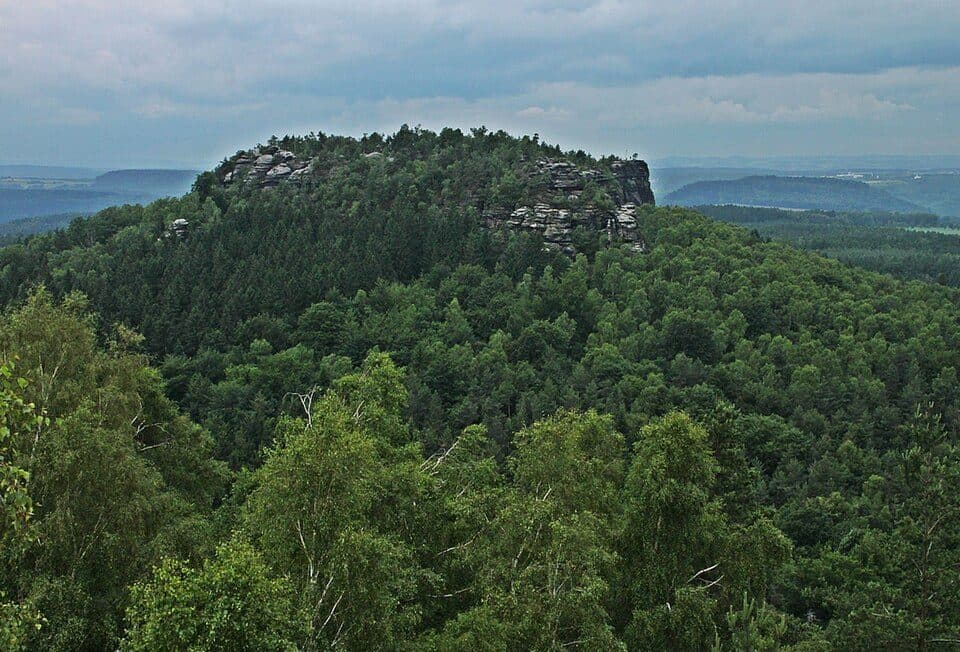 Gohrisch (Berg)
