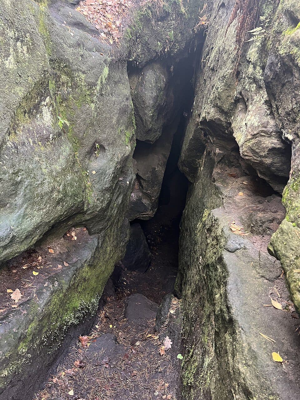 Bodenlehrpfad Sächsische Schweiz