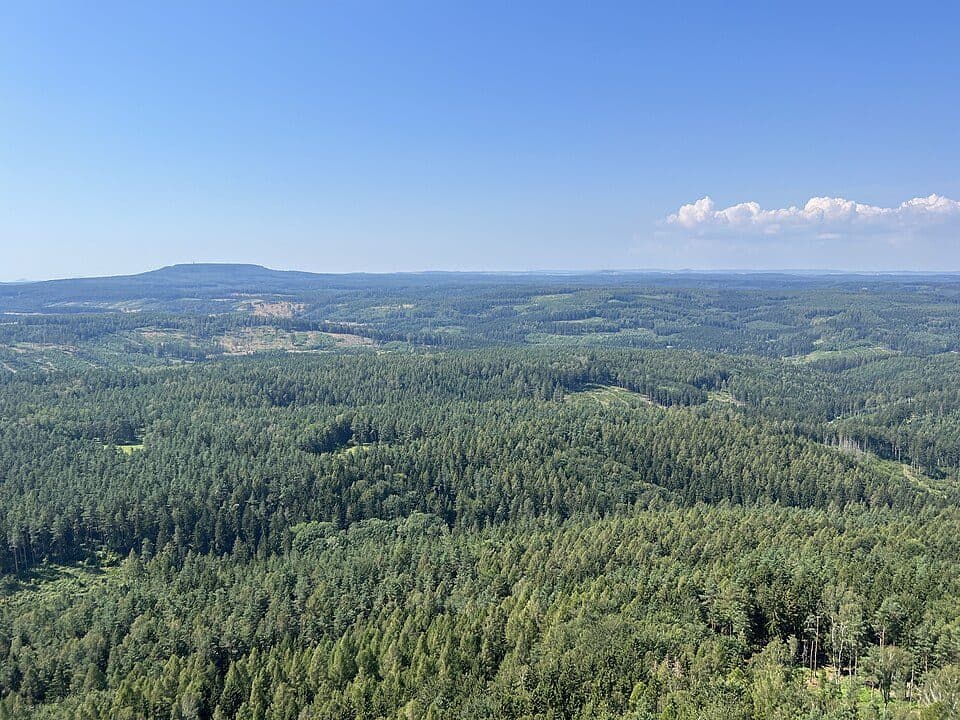 Gelber Punkt, Kl. Zschirnstein, Rundwanderweg