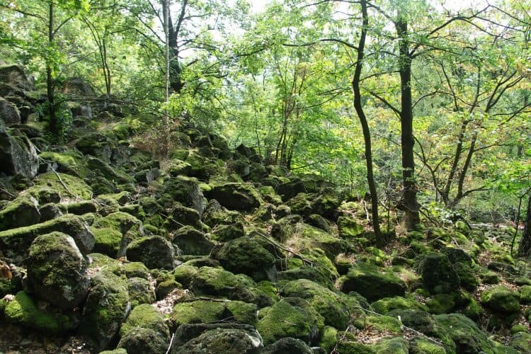 OL-Grüner Punkt - Ringweg Löbauer Berg