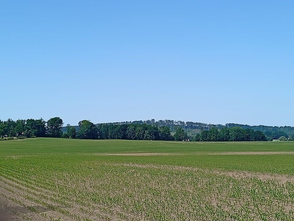 Hohberg