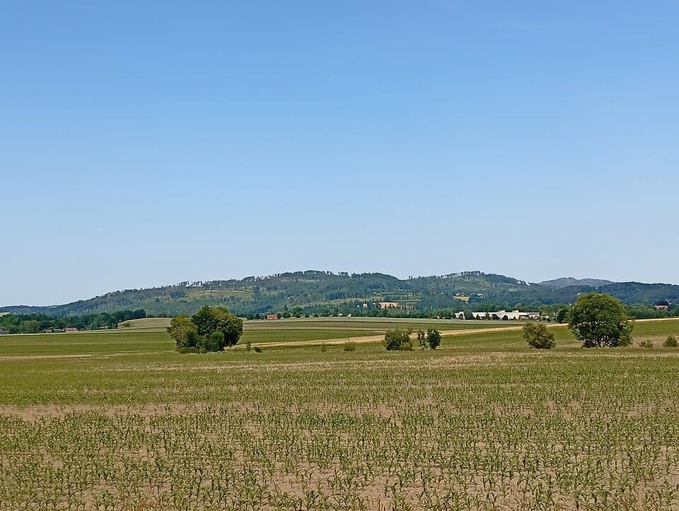 Kälbersteine