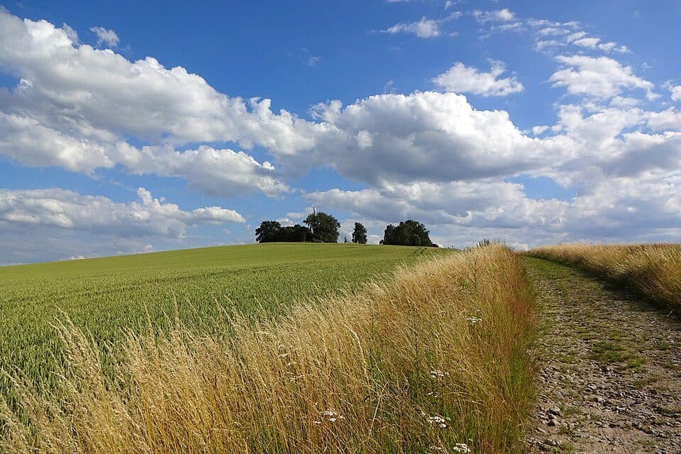 Kapellenberg