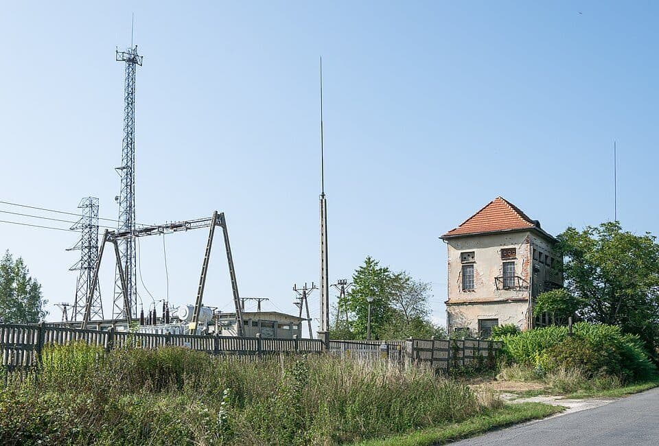 Mszaniec (Stary Waliszów)