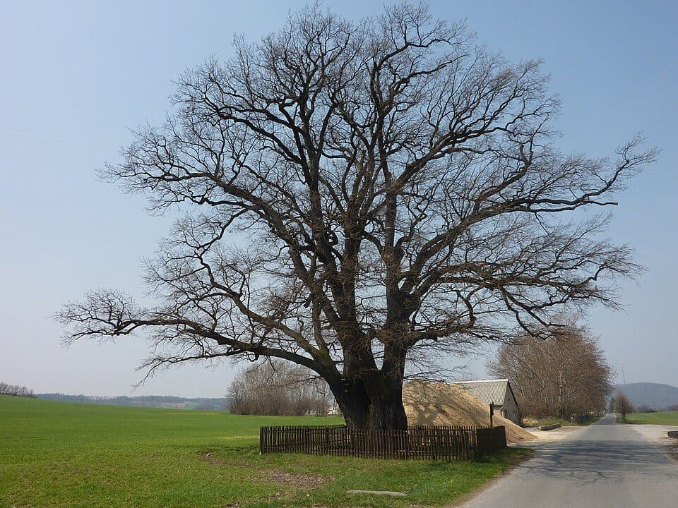 Steinbachtal - Wendisch Paulsdorf (gelber Strich)