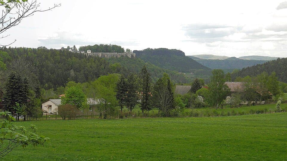 Grüner Punkt