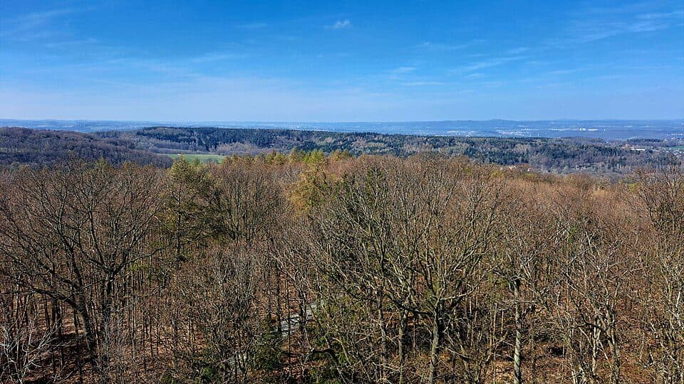 Waldlehrpfad Berggießhübel
