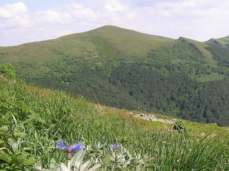 Halicz