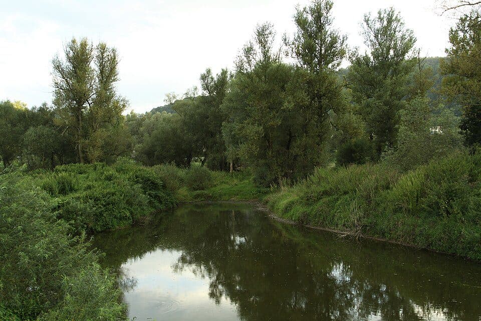 Nebočadský luh