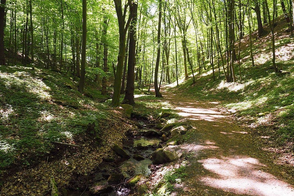 Rundweg Spargründe