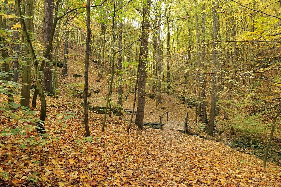 Rundweg Spargründe