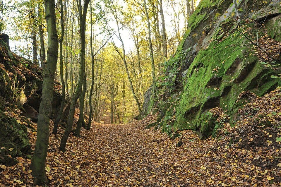 Rundweg Spargründe