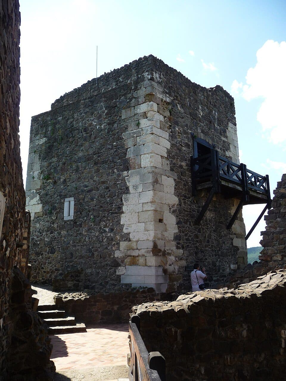 Fás legelő