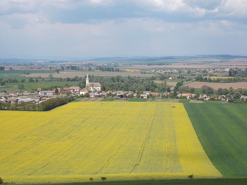 Z, Északi Zöld