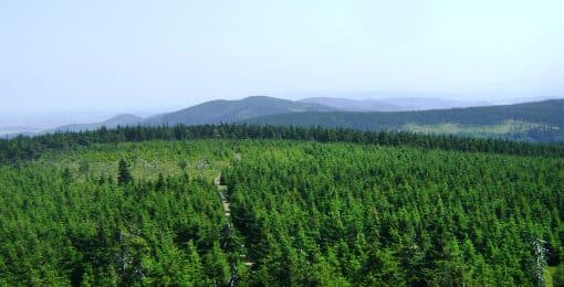 Przełęcz Jugowska – Rozdroże nad Kamionkami