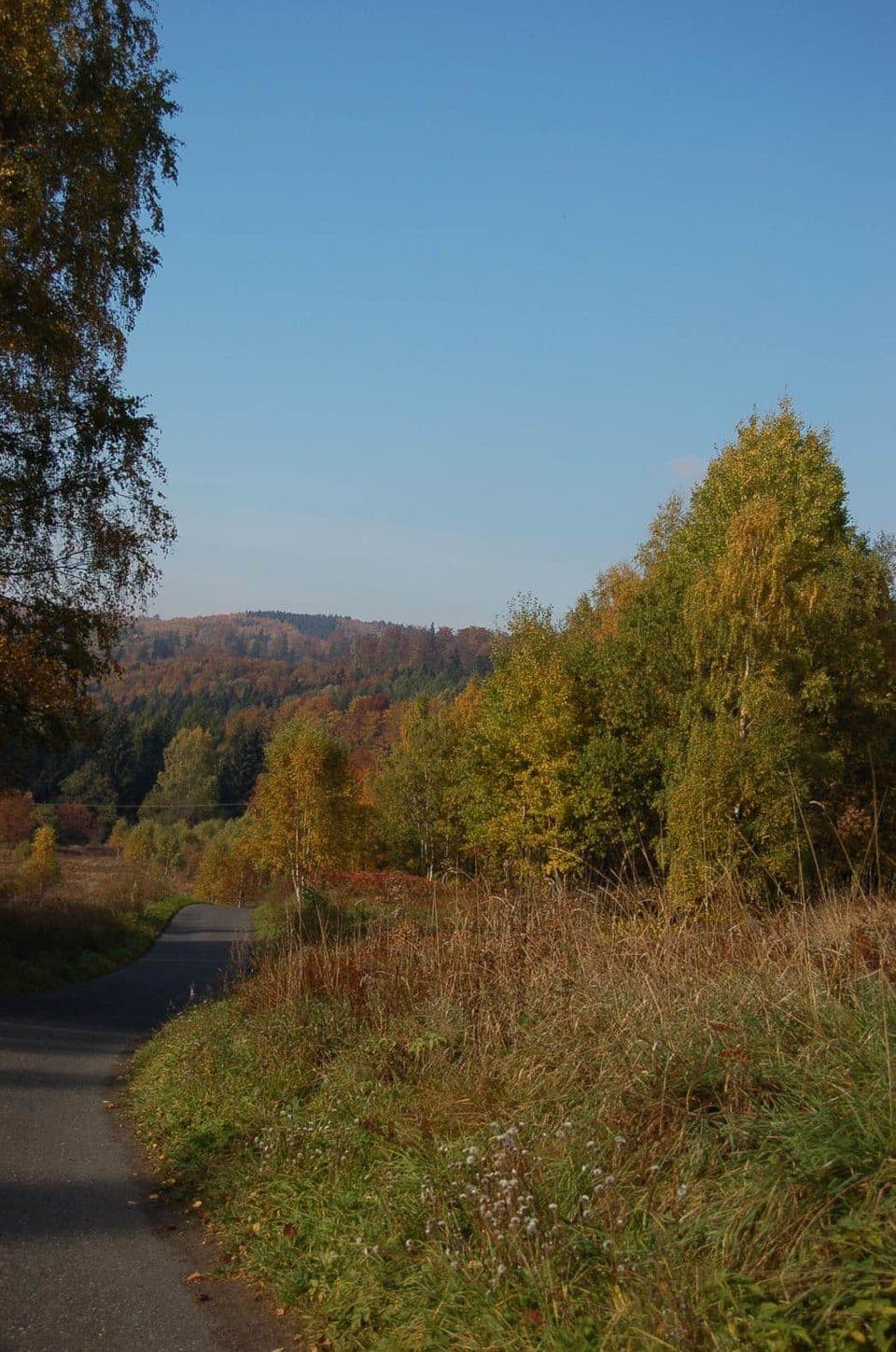 Czarnoch – Bielawska Polanka