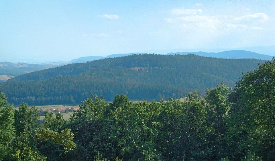 Włodyka