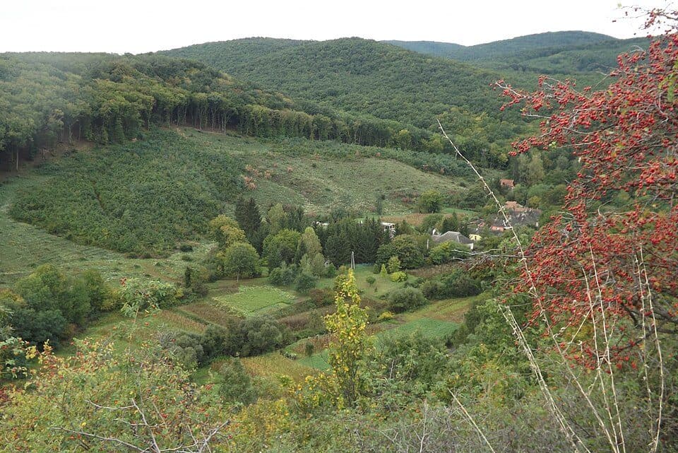 Mária-út, M01-29 (Kács – Miskolc, Görömböly)
