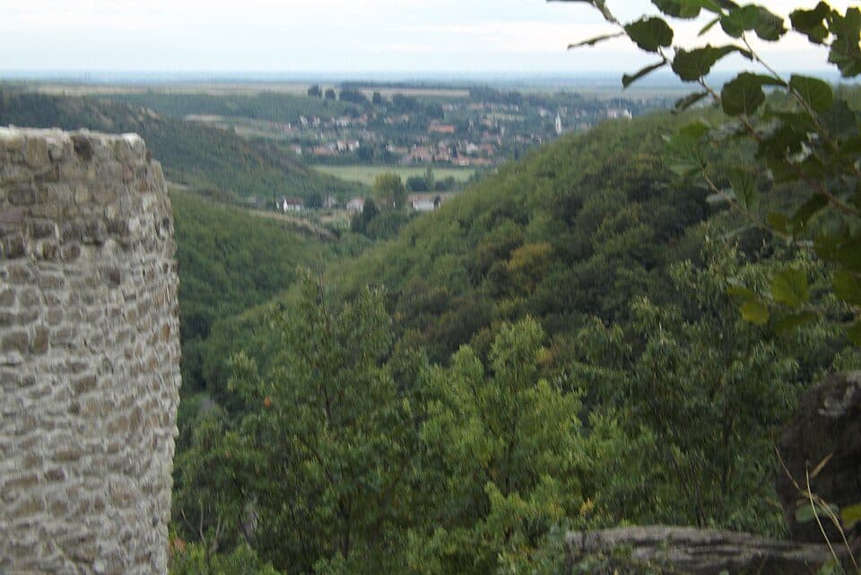 K+ (Sály – Alsó-Nyír-mező)