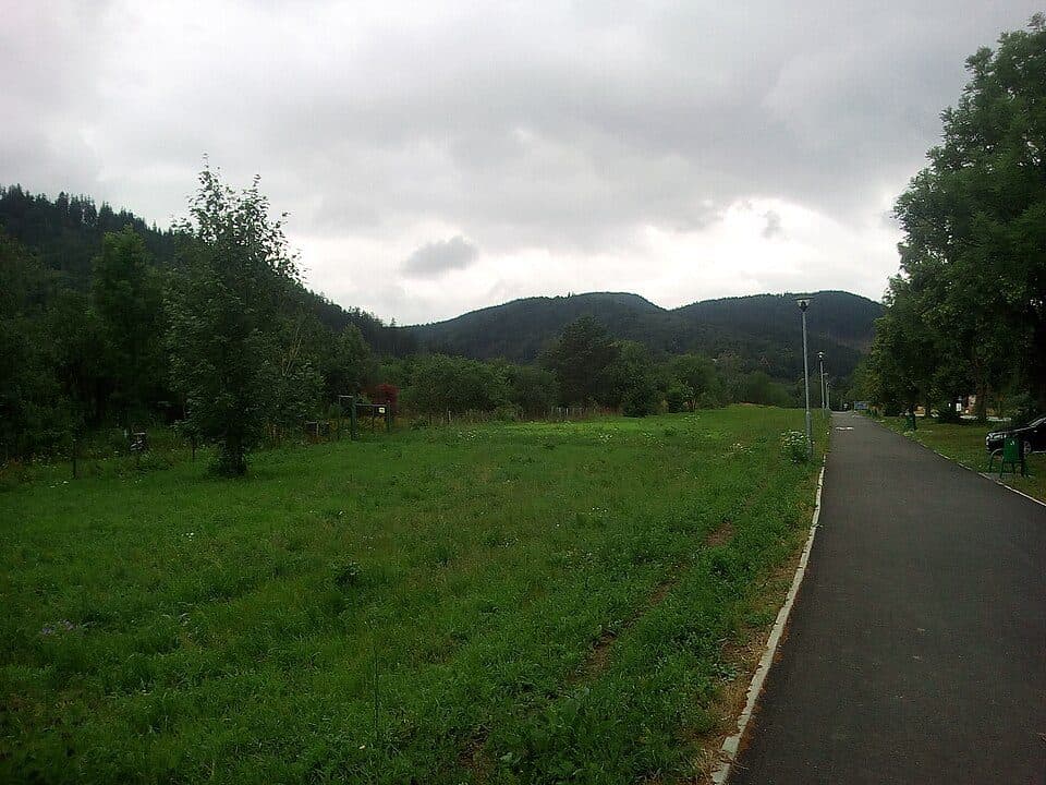 Borowa (góra) — zdjęcie 3