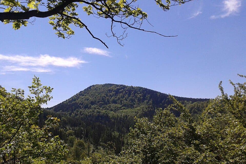 Borowa (góra)