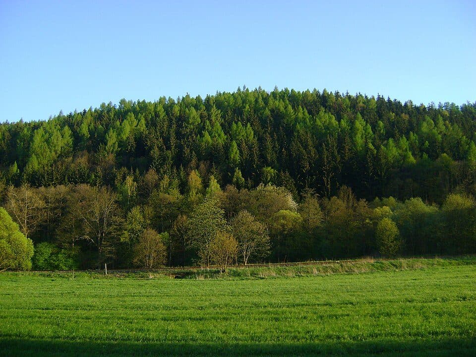 Mlýnský vrch