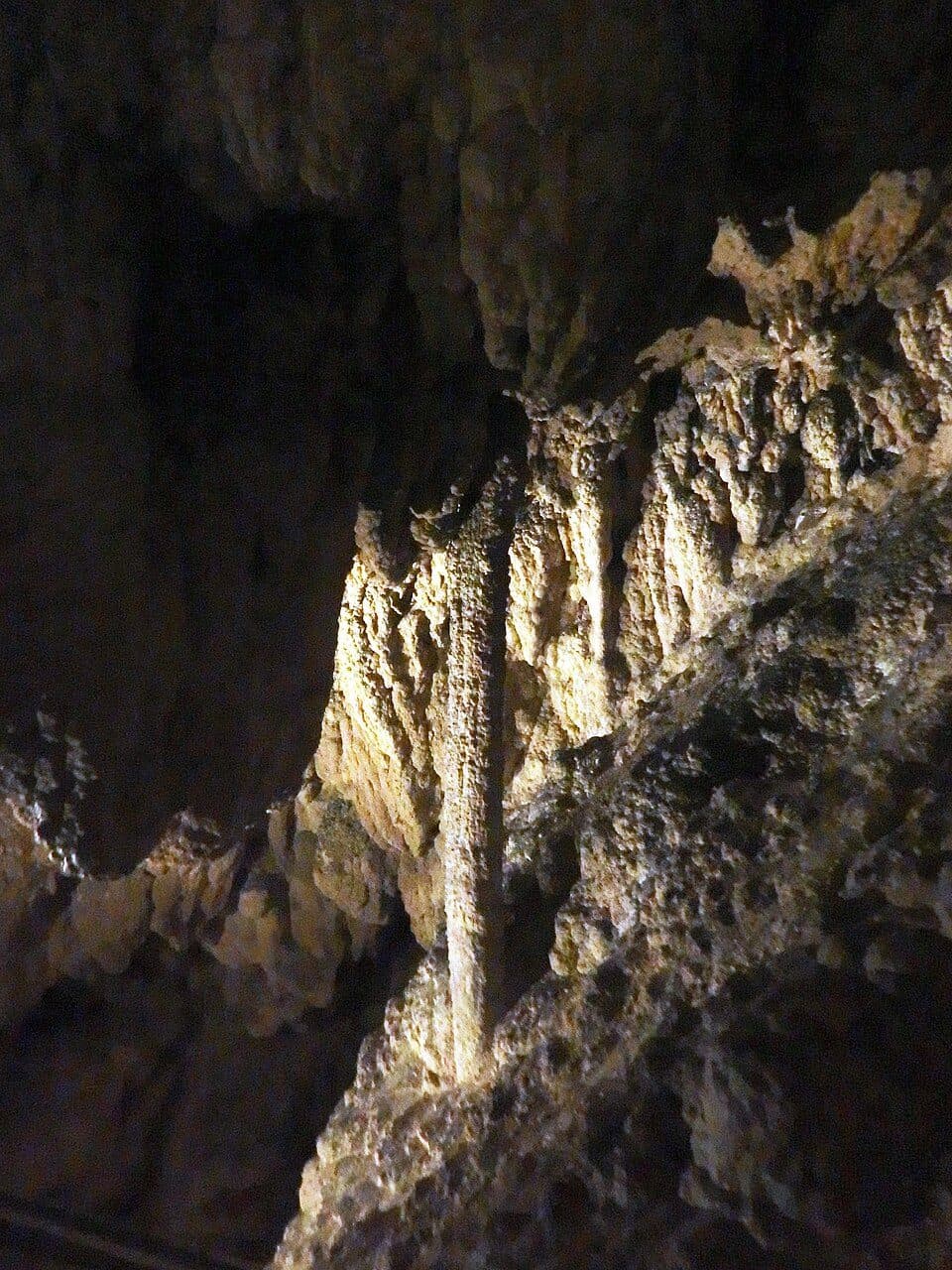 Anna Cave — photo 3