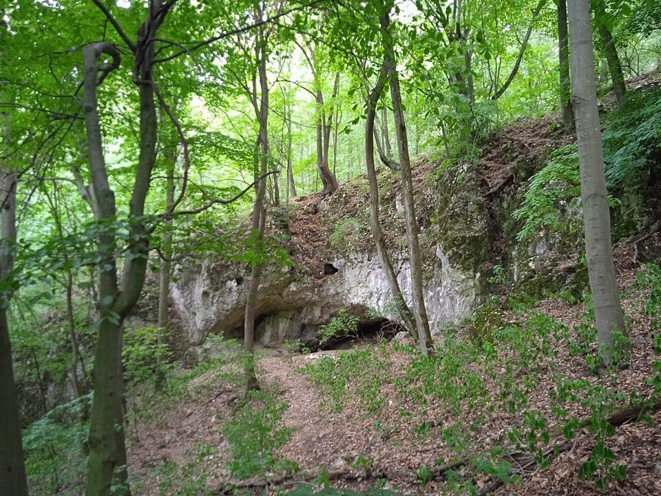 Felső-forrási-barlang — fotografie 3